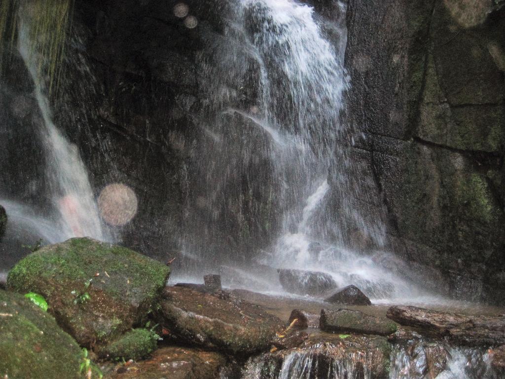 Pousada Recanto Dos Pinheiros Pilar do Sul エクステリア 写真
