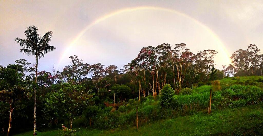 Pousada Recanto Dos Pinheiros Pilar do Sul エクステリア 写真