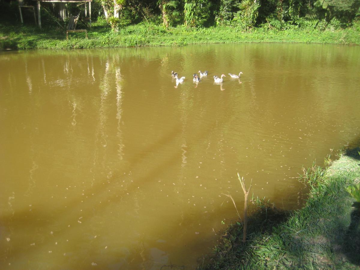 Pousada Recanto Dos Pinheiros Pilar do Sul エクステリア 写真
