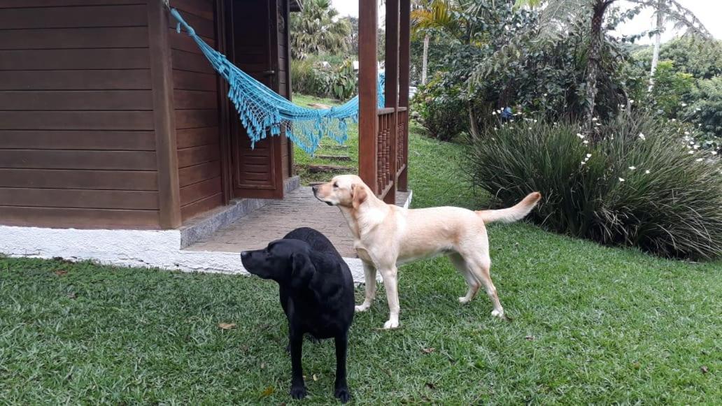 Pousada Recanto Dos Pinheiros Pilar do Sul エクステリア 写真