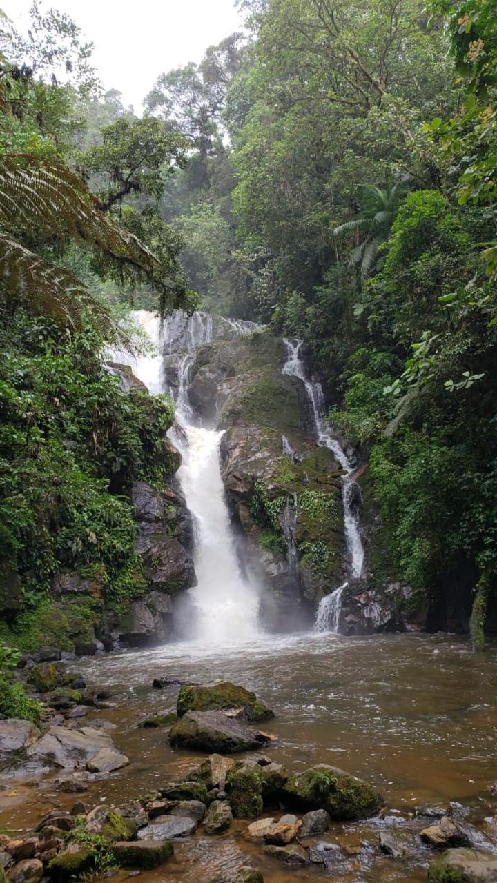 Pousada Recanto Dos Pinheiros Pilar do Sul エクステリア 写真